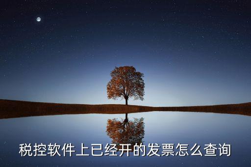 稅控軟件上已經開的發票怎么查詢