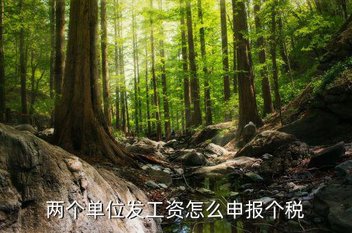 兩個單位發工資怎么申報個稅