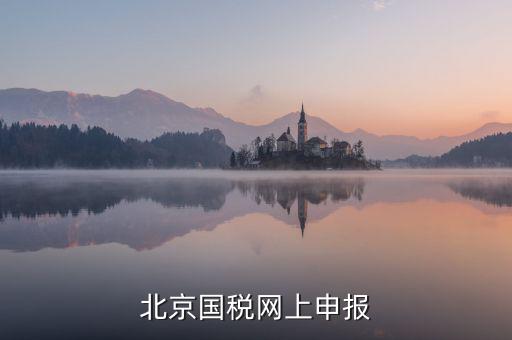 北京國稅網上申報