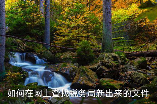 如何在網上查找稅務局新出來的文件