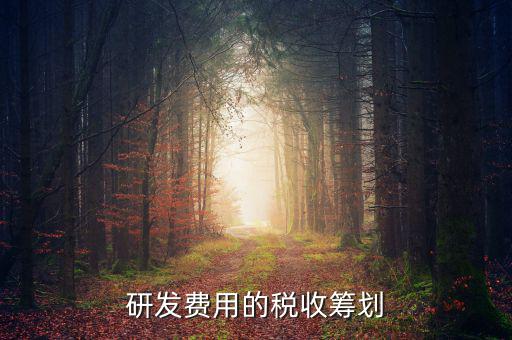 研發費用的稅收籌劃