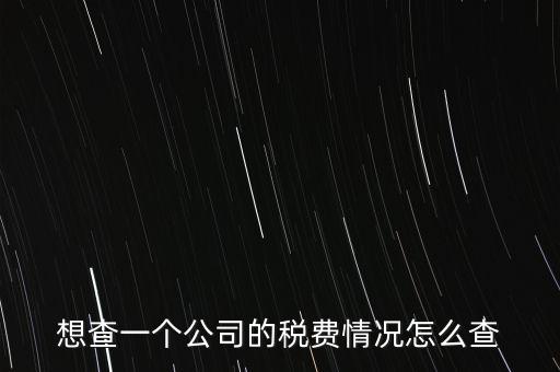 如何查詢公司納稅記錄查詢，想查一個公司的稅費情況怎么查