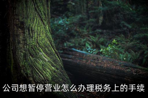 北京市如何辦理單位稅務暫停，企業暫停營業怎么辦理