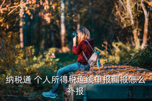 源泉扣繳如何補申報，個人所得稅代扣代繳系統 補申報怎樣操作