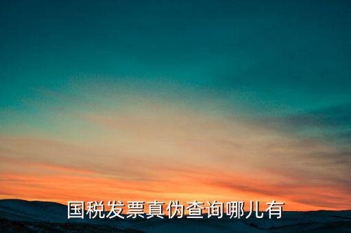 國稅發票真偽查詢哪兒有