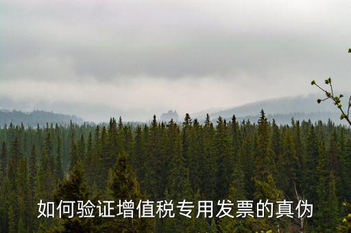 如何驗證增值稅專用發票的真偽