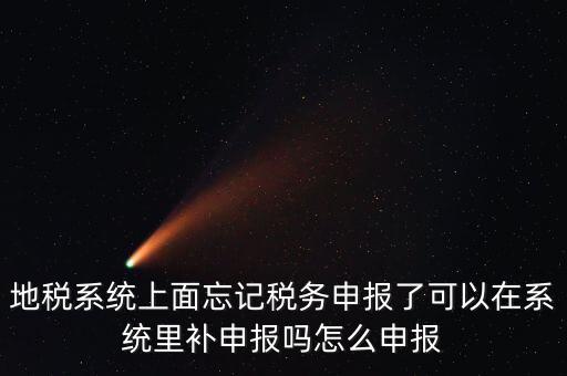 地稅如何補充申報表，地稅系統上面忘記稅務申報了可以在系統里補申報嗎怎么申報