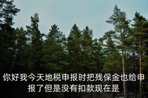 你好我今天地稅申報時把殘保金也給申報了但是沒有扣款現在是