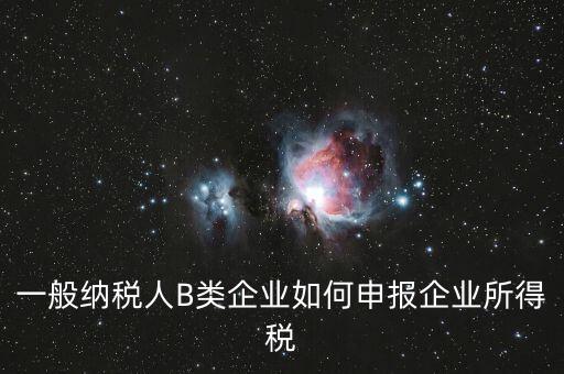 一般納稅人B類企業如何申報企業所得稅