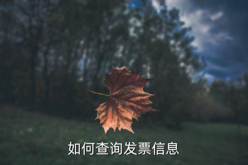 開票系統如何查詢票種，如何從金稅盤中看出公司票種
