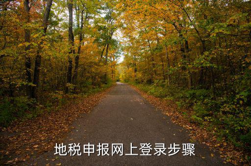 廣西國稅地稅如何網上申報，稅務申報如何網上申報