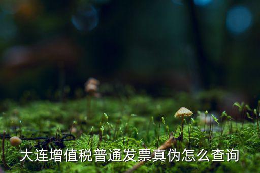 大連增值稅普通發票真偽怎么查詢
