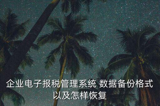 企業電子報稅管理系統 數據備份格式以及怎樣恢復