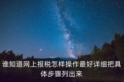 如何進行網上納稅申報，如何進行網上申報稅款