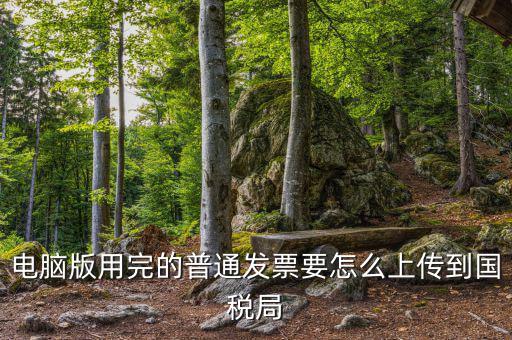 電腦版用完的普通發票要怎么上傳到國稅局