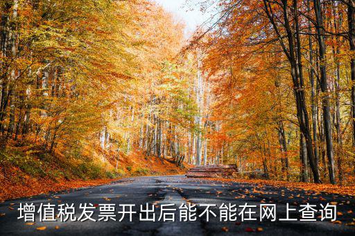 如何查詢發票完稅，稅控軟件上已經開的發票怎么查詢