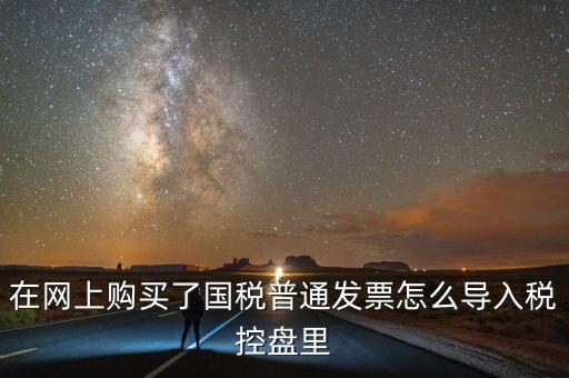 在網上購買了國稅普通發票怎么導入稅控盤里