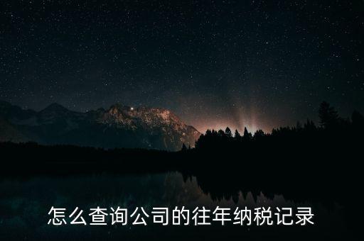 如何查詢商戶繳稅記錄，怎么在地方稅務網上系統里查往月的繳稅記錄