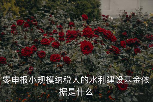 零申報小規模納稅人的水利建設基金依據是什么