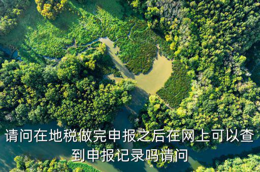 請問在地稅做完申報之后在網上可以查到申報記錄嗎請問