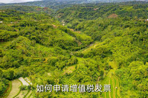增值稅卷式發票如何申，新開公司如何申請增值稅發票