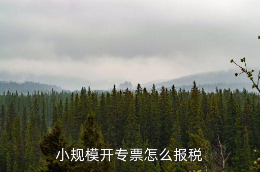 小規模開專票怎么報稅
