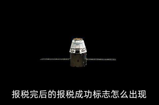山西稅務如何查看報稅是否成功，報稅完后的報稅成功標志怎么出現