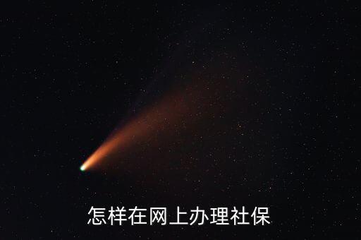 怎樣在網上辦理社保