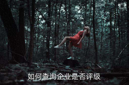 如何查詢企業是否評級