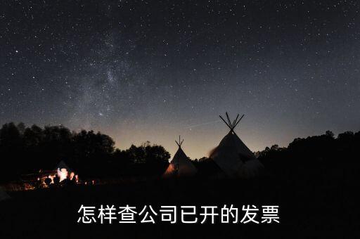 怎樣查公司已開的發票