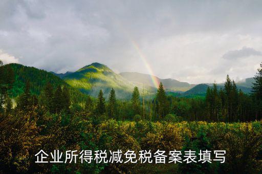 企業所得稅減免稅備案表填寫
