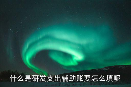 什么是研發支出輔助賬要怎么填呢
