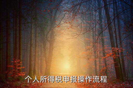 自然人所得稅如何安裝，個人所得稅如何進行申報和核算