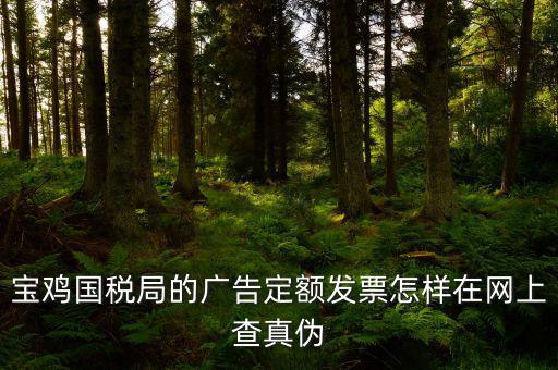 國稅定額發票如何查驗，國稅的定額發票怎么辨別真假制作的跟假的似的