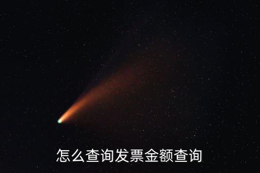 怎么查詢發票金額查詢