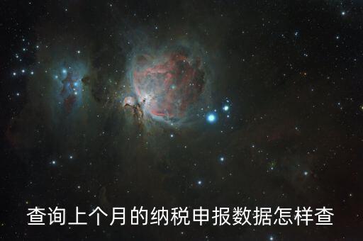查詢上個月的納稅申報數據怎樣查