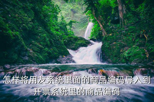 怎樣將用友系統里面的商品編碼導入到開票系統里的商品編碼