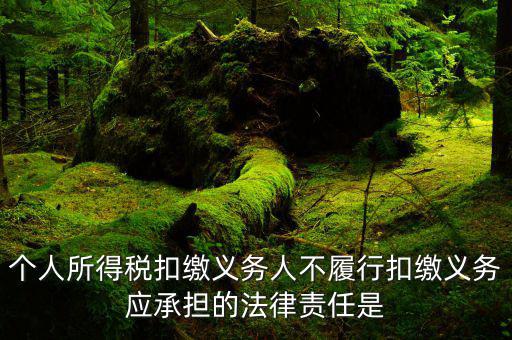 扣繳義務(wù)人如何追責(zé)，個人所得稅扣繳義務(wù)人不履行扣繳義務(wù)應(yīng)承擔(dān)的法律責(zé)任是