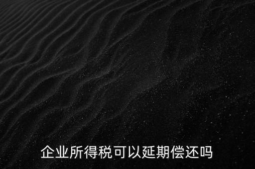 企業所得稅可以延期償還嗎