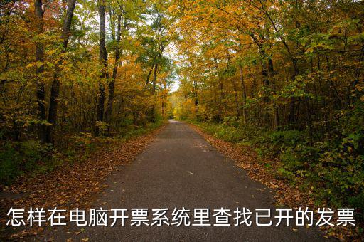 怎樣在電腦開票系統里查找已開的發票