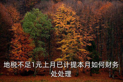 財務處如何落實數據地稅，地稅不足1元上月已計提本月如何財務處處理