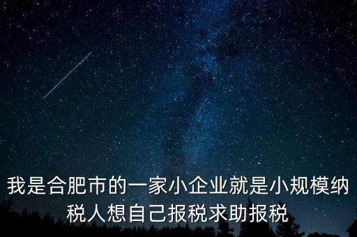 我是合肥市的一家小企業就是小規模納稅人想自己報稅求助報稅