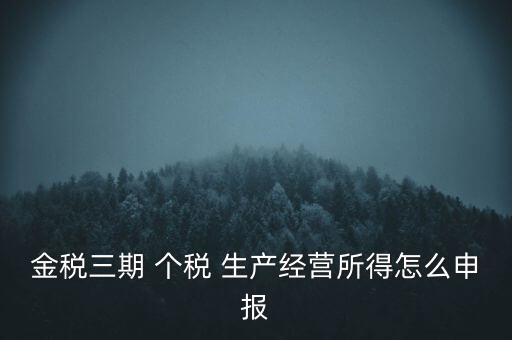 金稅三期 個稅 生產經營所得怎么申報