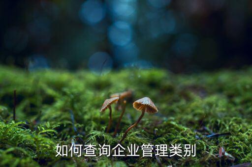 如何查詢企業管理類別