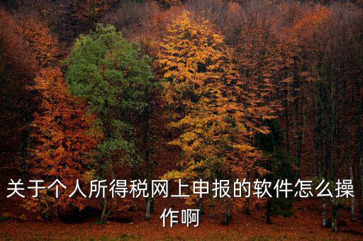 關(guān)于個人所得稅網(wǎng)上申報的軟件怎么操作啊