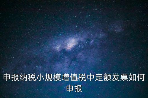 申報納稅小規模增值稅中定額發票如何申報