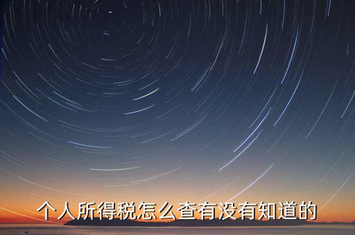 張家港個人所得稅如何查詢，個人所得稅怎么查有沒有知道的