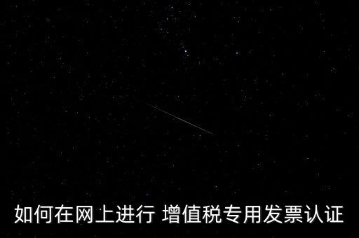 如何在網上進行 增值稅專用發票認證