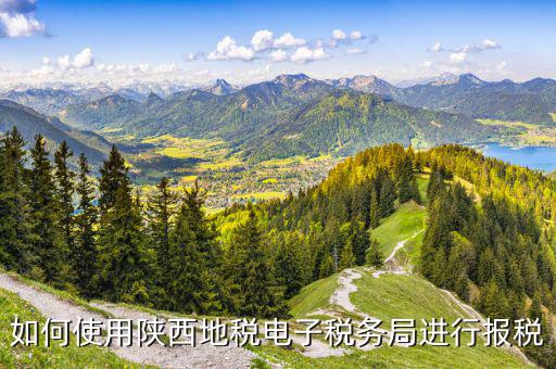 陜西地稅國稅網上如何申報，如何使用陜西地稅電子稅務局進行報稅