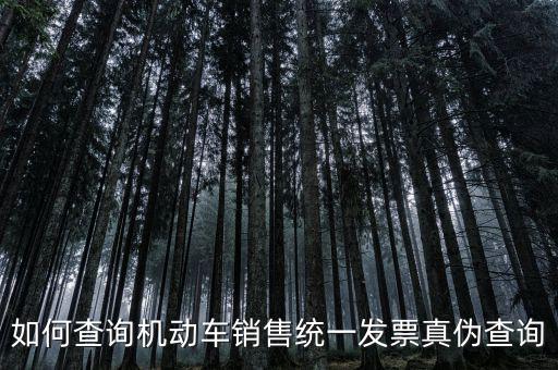 如何查詢機動車銷售統一發票真偽查詢